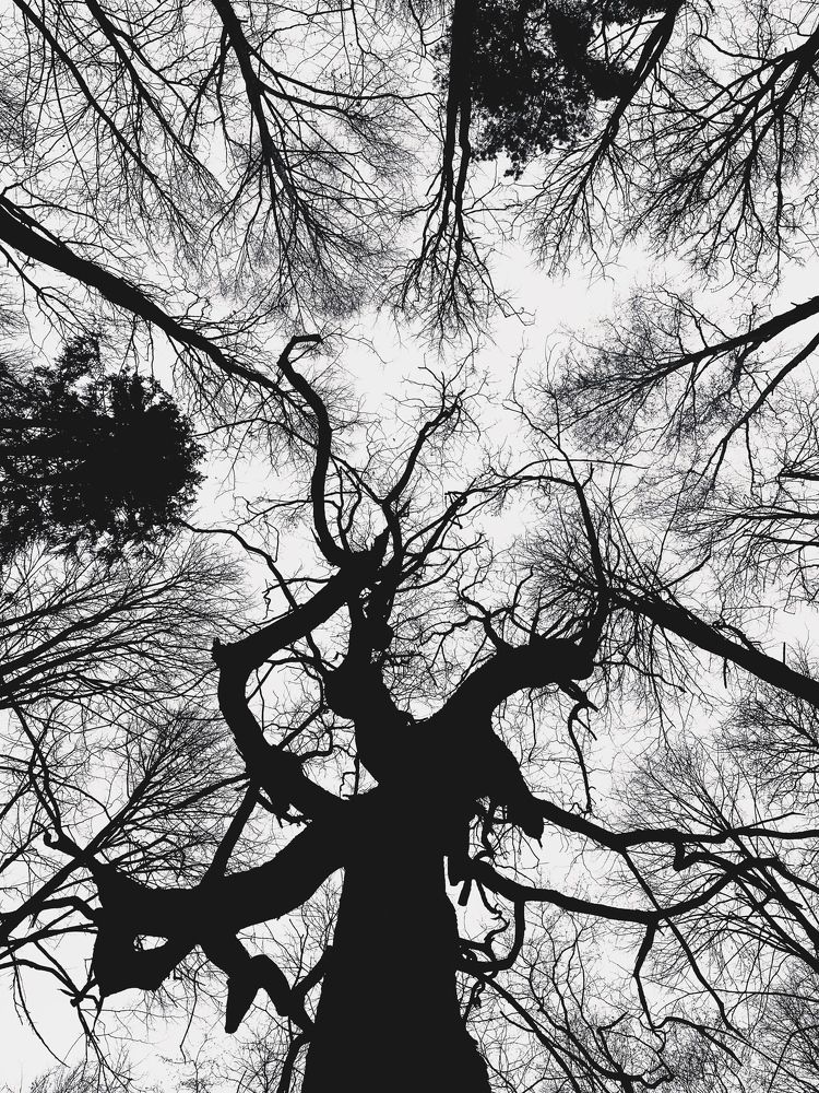 Photograph by Ольга Большакова