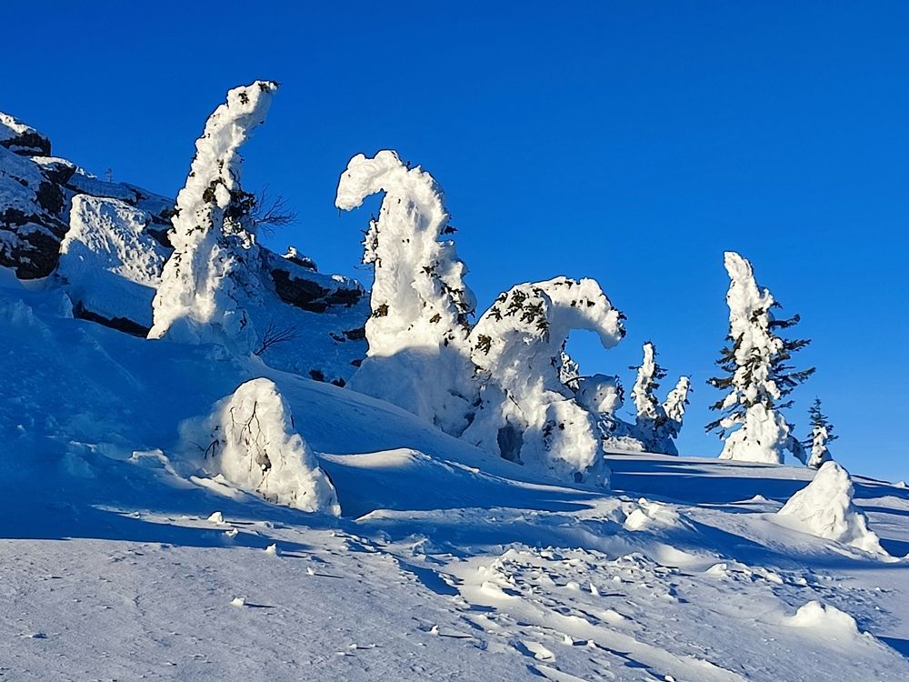 Photograph by Юлия Гинтер