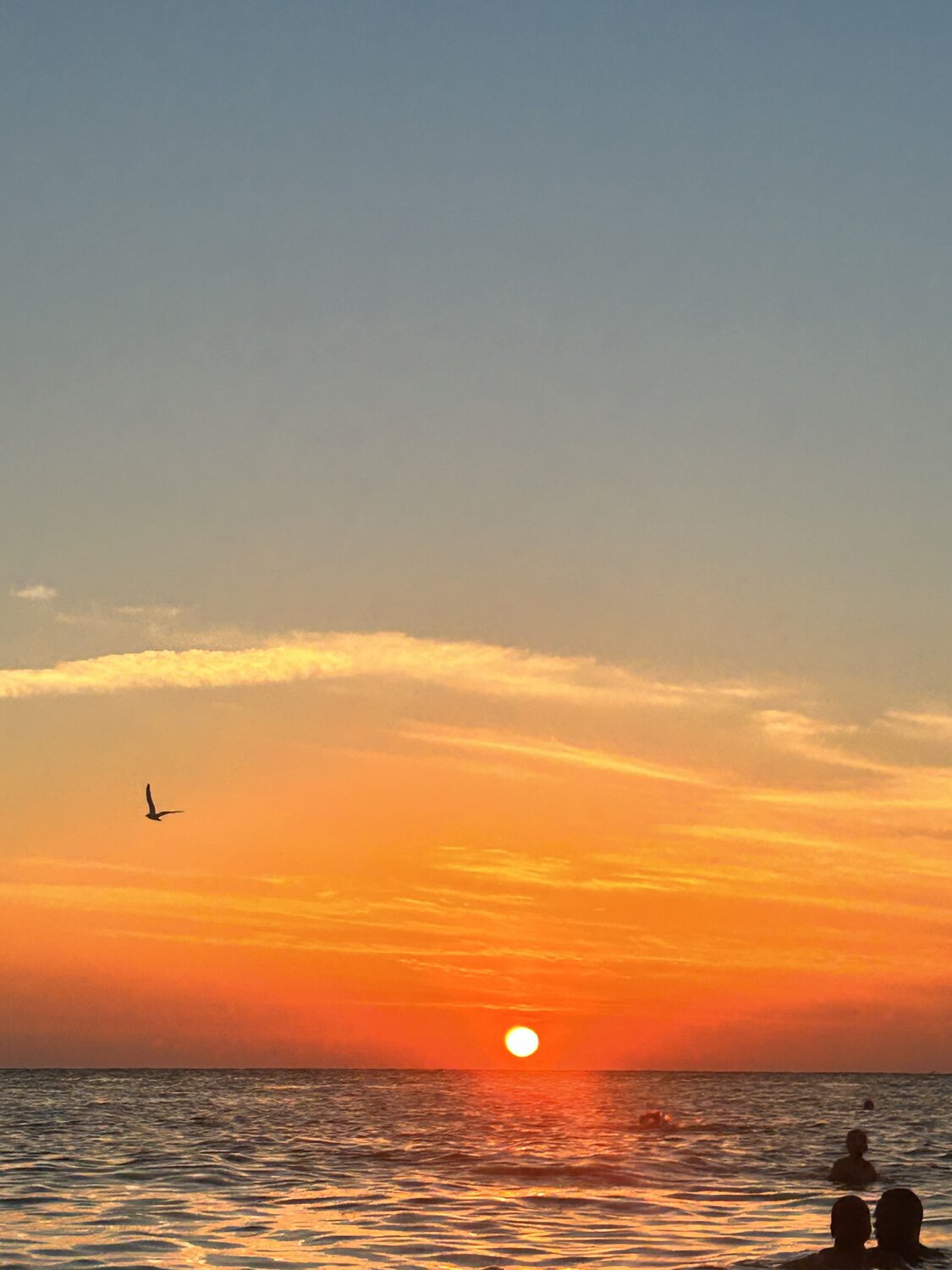 Photo #11415157