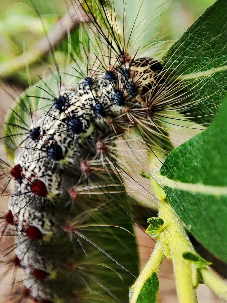 Photograph by Юлия Гинтер