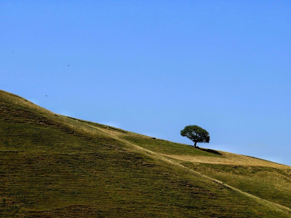 Фотография автора Mahdi Mohammadi