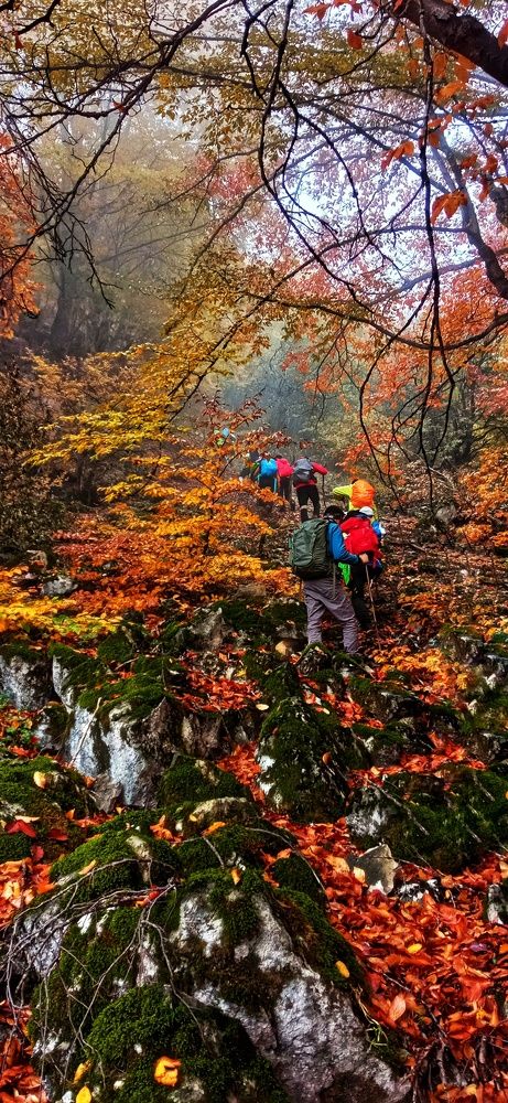 Фотография автора Mahdi Mohammadi