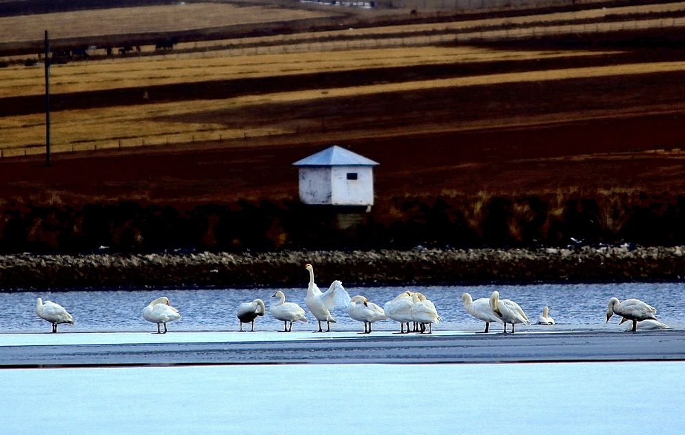 Photograph by Batsaikhan Badamdorj