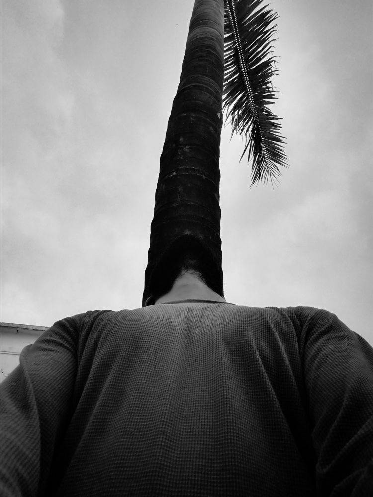 My way to taking selfie