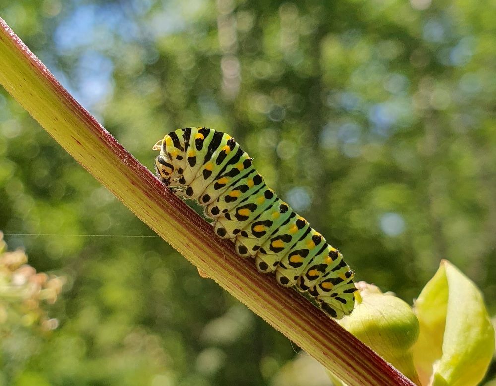 Photograph by Жанна Регор
