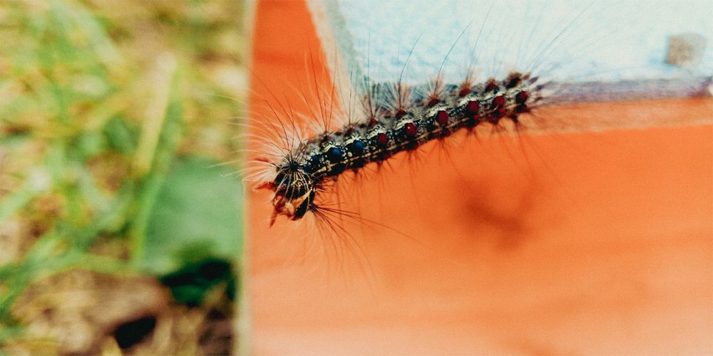 Photograph by Ульяна Бедрицкая