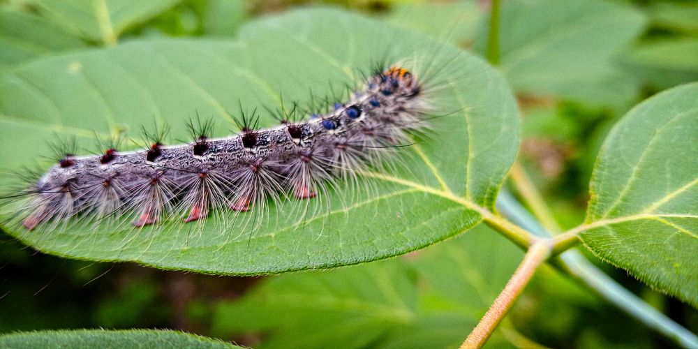 Photograph by Ульяна Бедрицкая