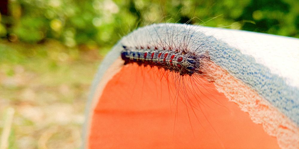 Photograph by Ульяна Бедрицкая