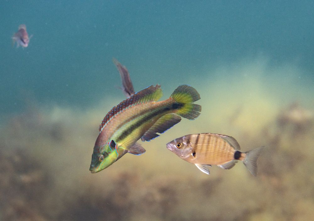 Photograph by Евгения Карпова