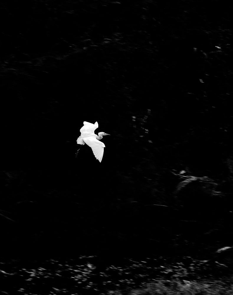 Фотография автора Rajvardhan Singh