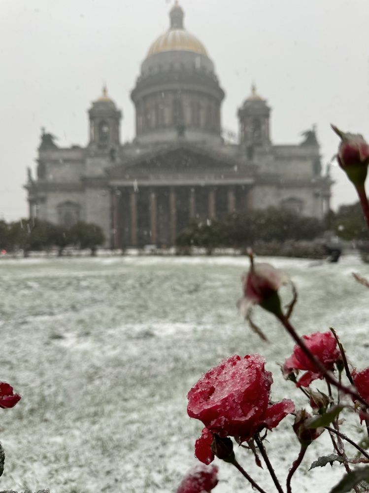 Photograph by Марина Сальникова