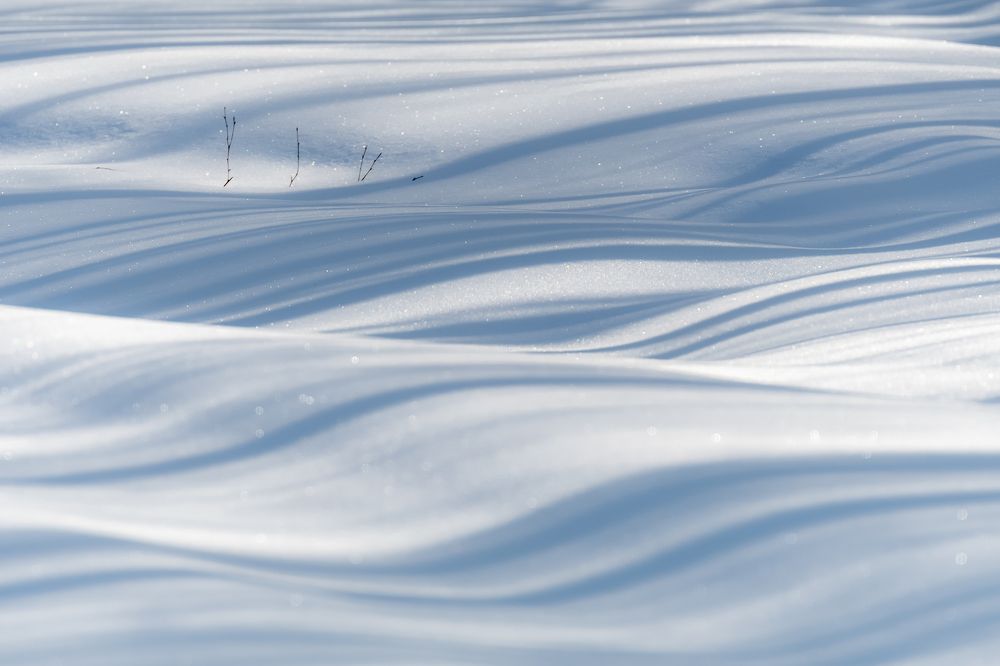 Photograph by Tatiana Meshcheryakova