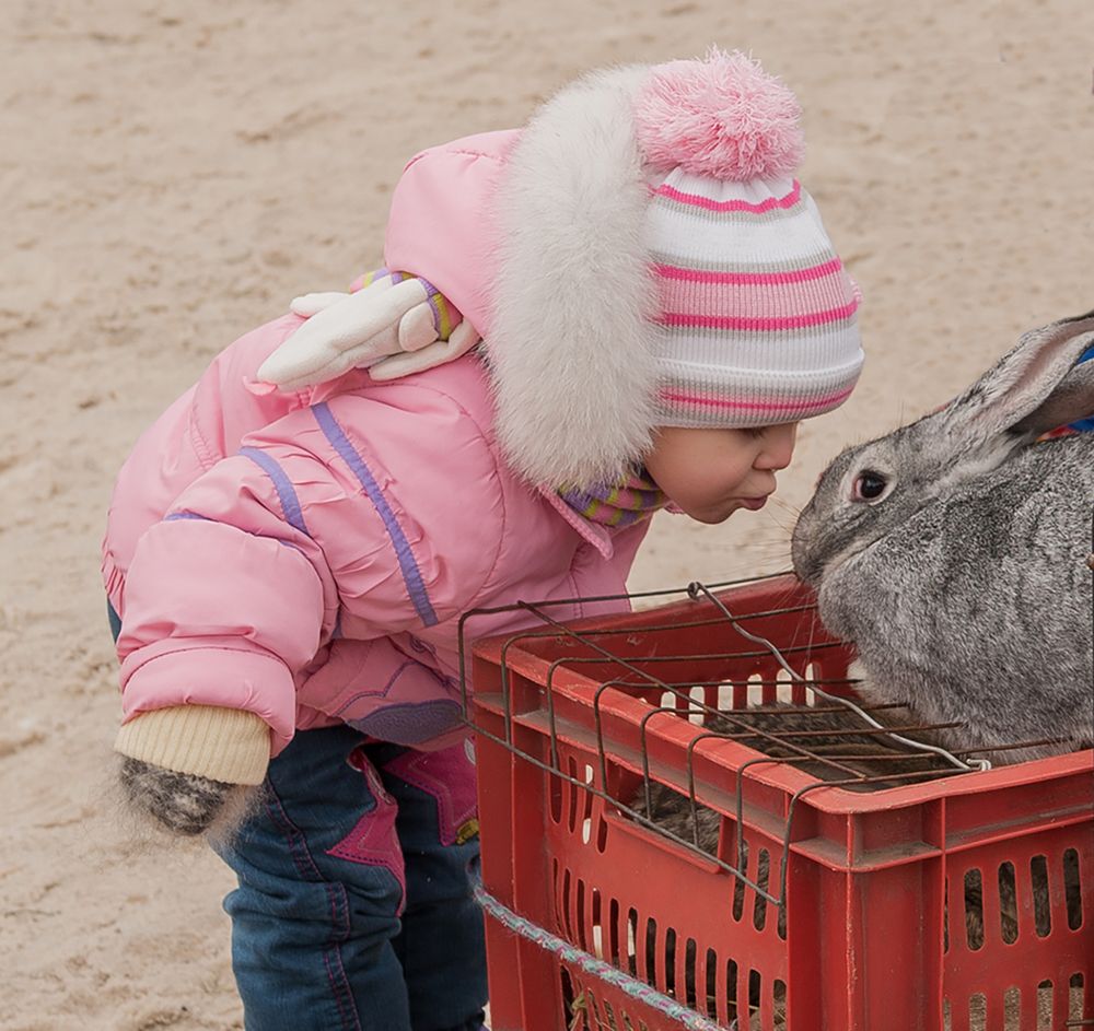 Photograph by Ольга Дядченко