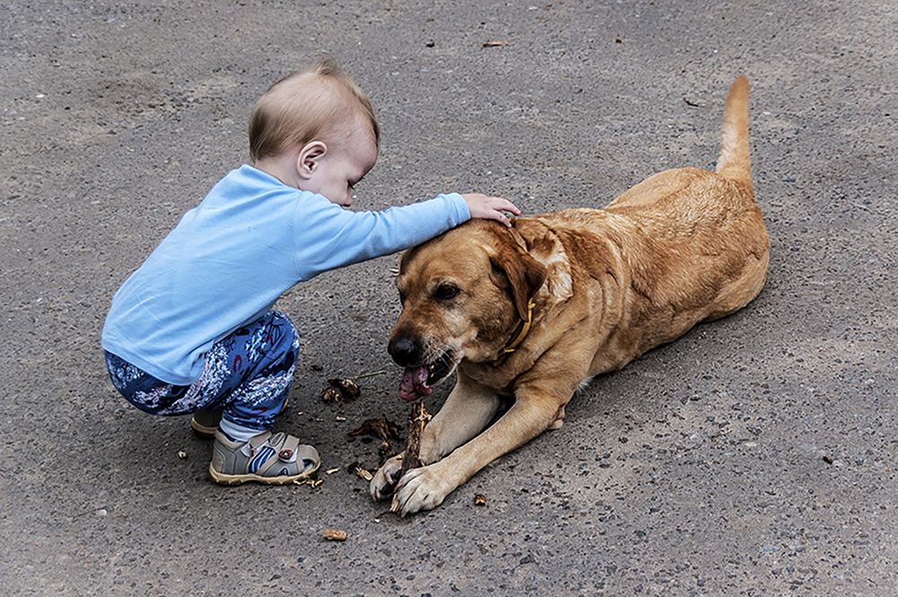 Photograph by Ольга Дядченко