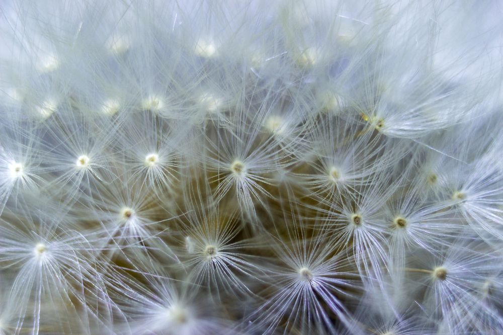 Photograph by Sergey Tsubanov