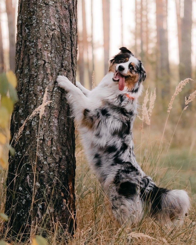 Photograph by Илья Кузнецов