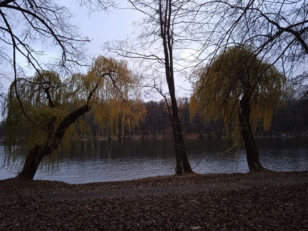 Photograph by Фёдор Викторович