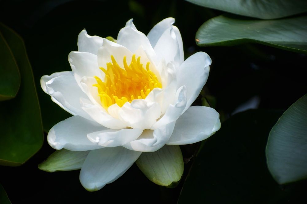 Photograph by Irina Luidinshina