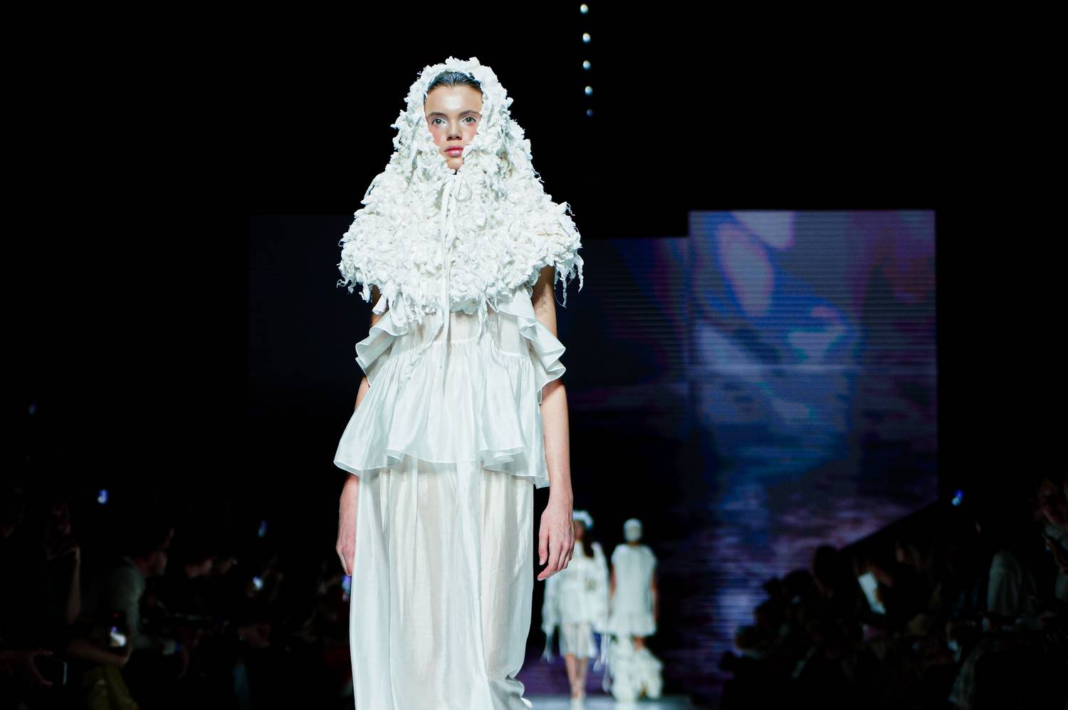 Photo #11415569