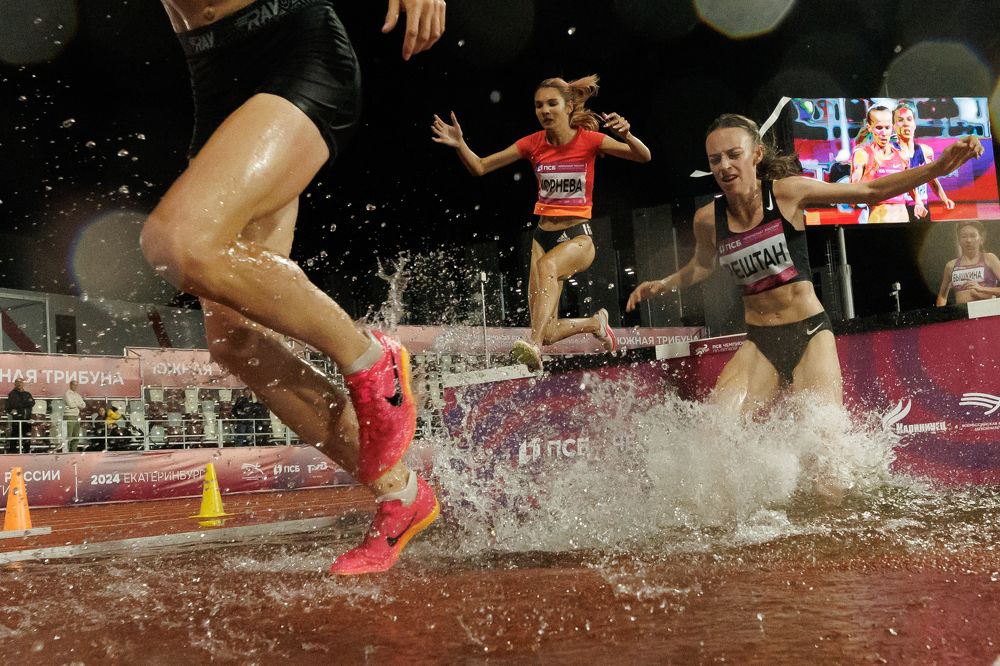 Фотография автора Алексей