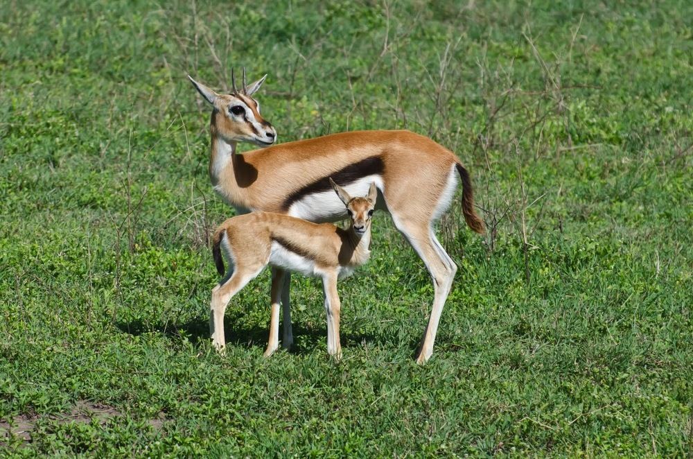 Photograph by Татьяна