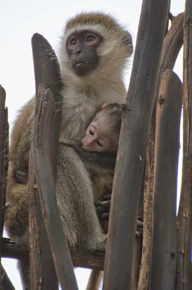 Photograph by Татьяна