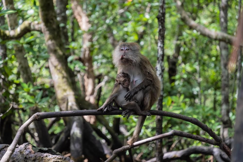 Photograph by Татьяна