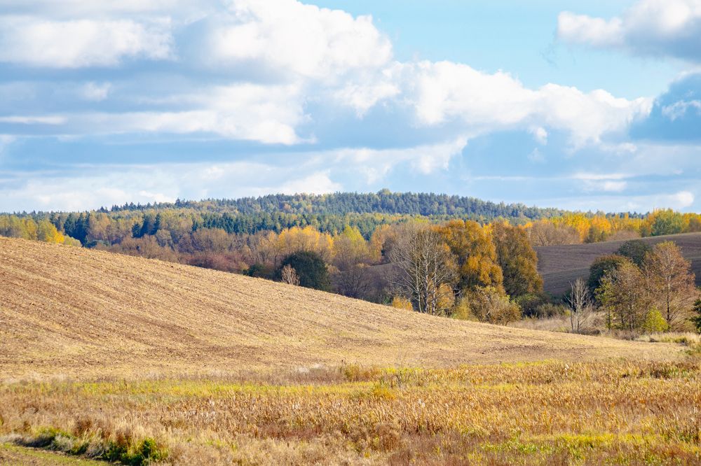 Photograph by Вячеслав Рудинский