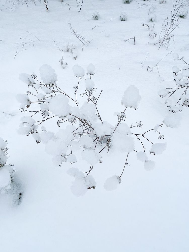 Photograph by Nadezda Yablokova