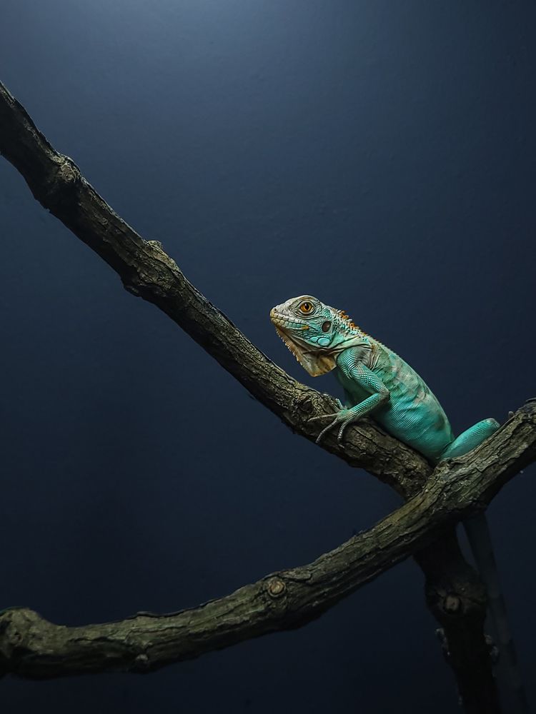 Photograph by ADARSH AJ