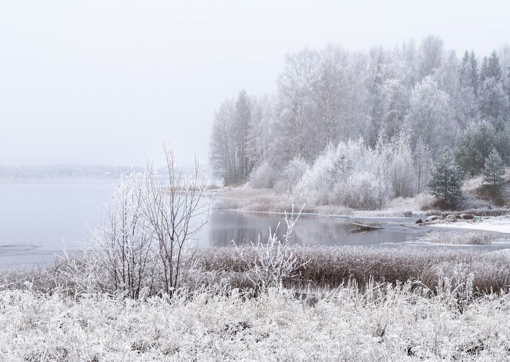 Photograph by Алексей Турчин