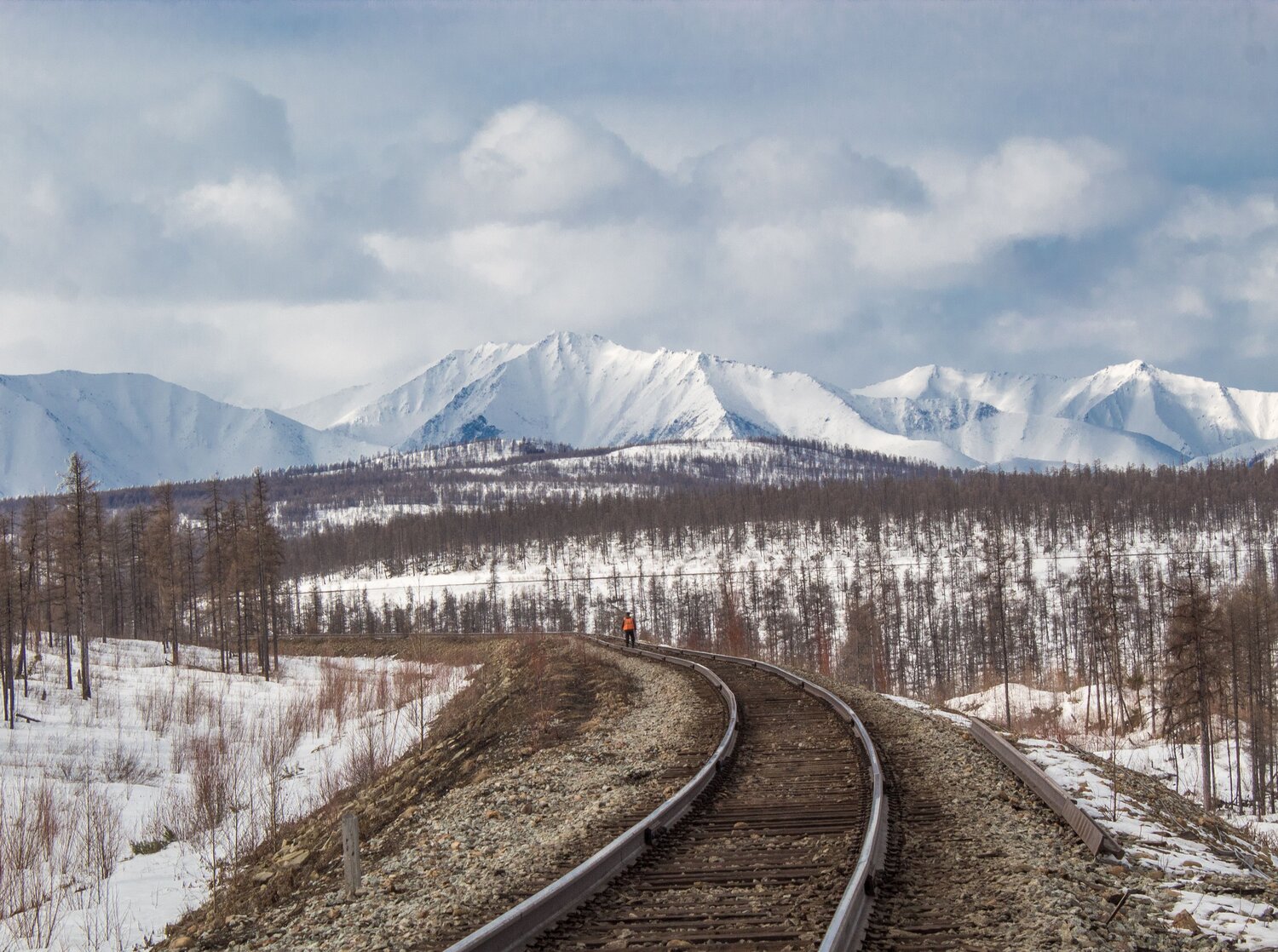 Photo #11415694