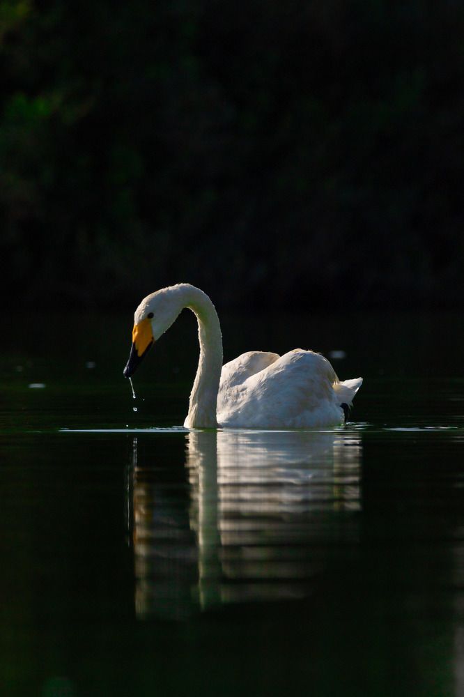 Photograph by Zubair Irshad