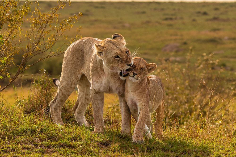Photograph by Zubair Irshad