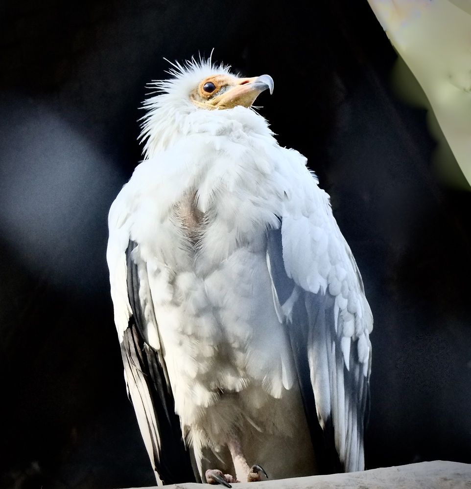 Photograph by Татьяна Шитлина