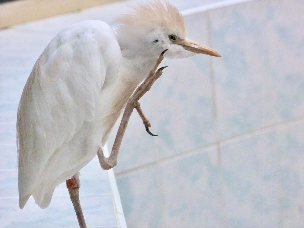 Photograph by Татьяна Шитлина