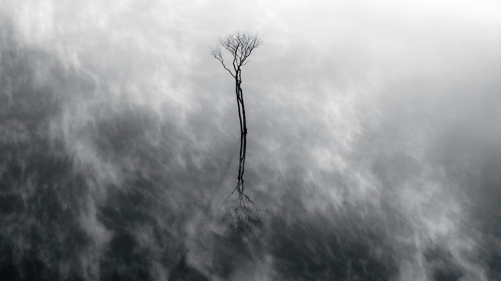 Photograph by Bao Nguyen