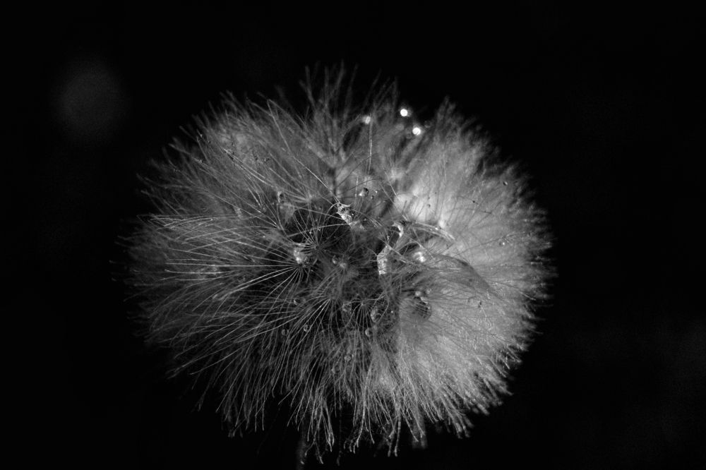 Photograph by Fábio Martins