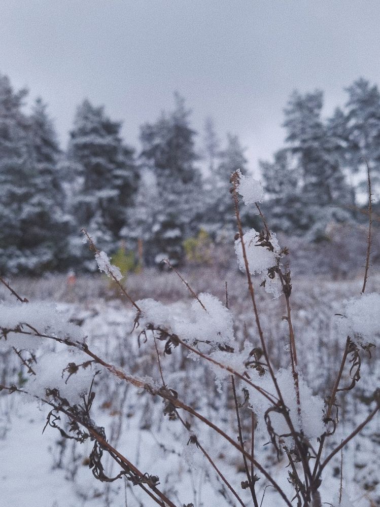 Photograph by Александра