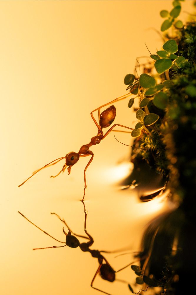 Фотография автора Tran Anh Tuan