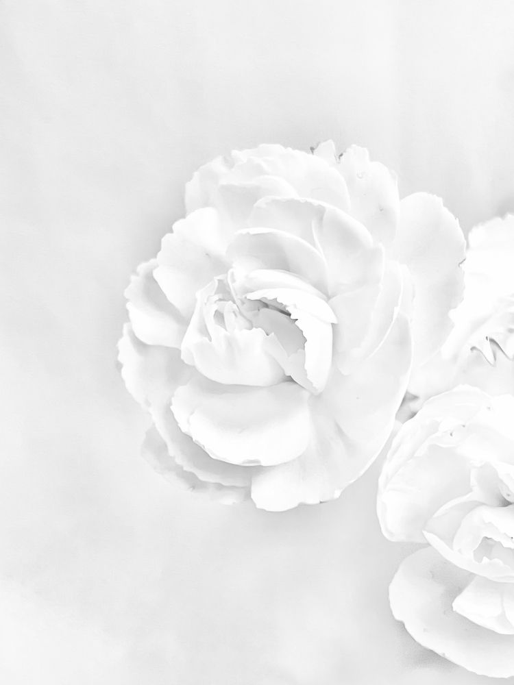 Photograph by Екатерина Мирошникова