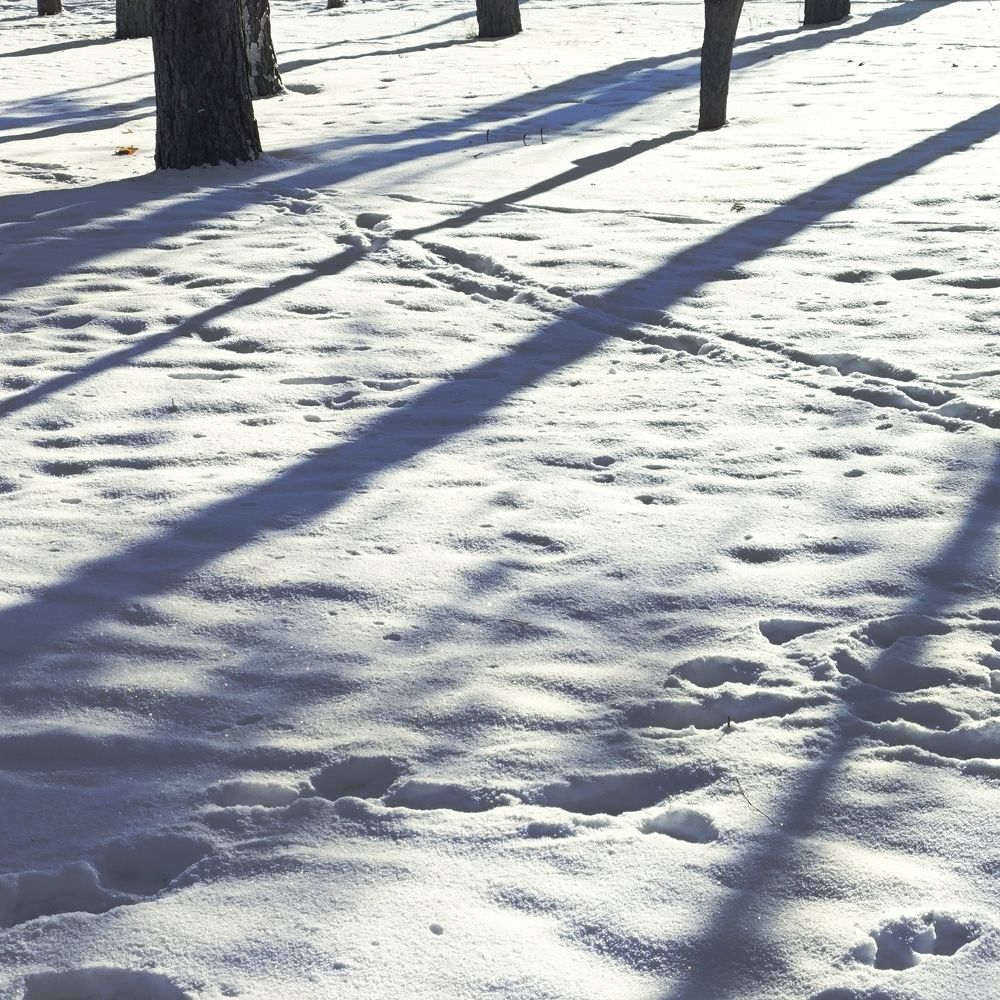 Photograph by Ульяна Бедрицкая