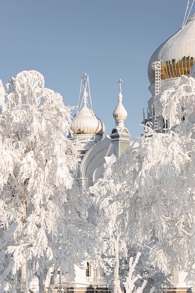 Photograph by Ольга Шиляева