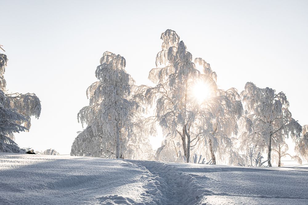 Photograph by Ольга Шиляева