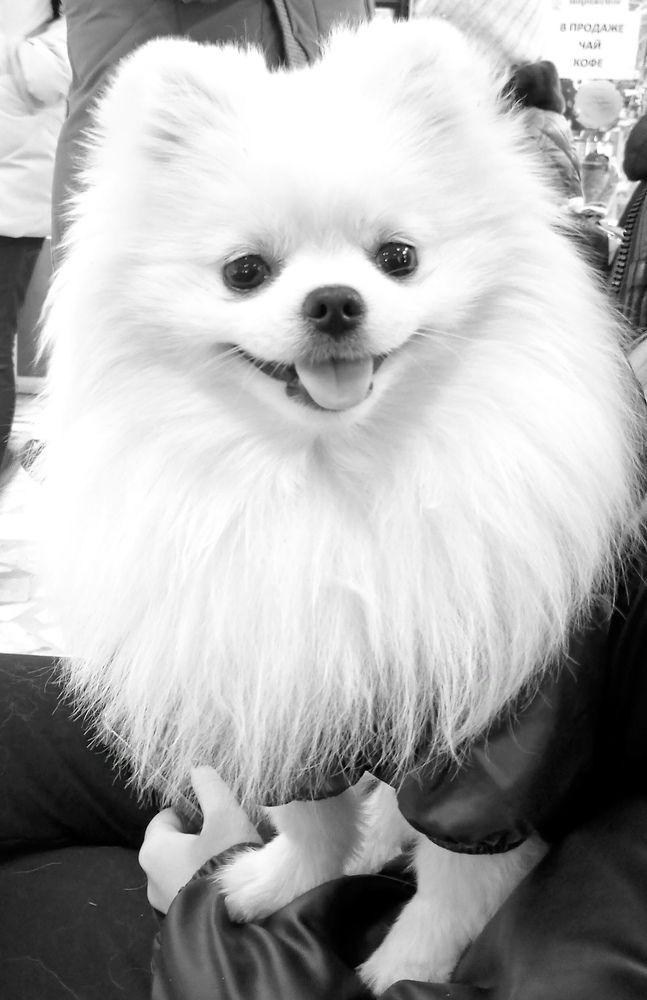 Photograph by Татьяна Кунц