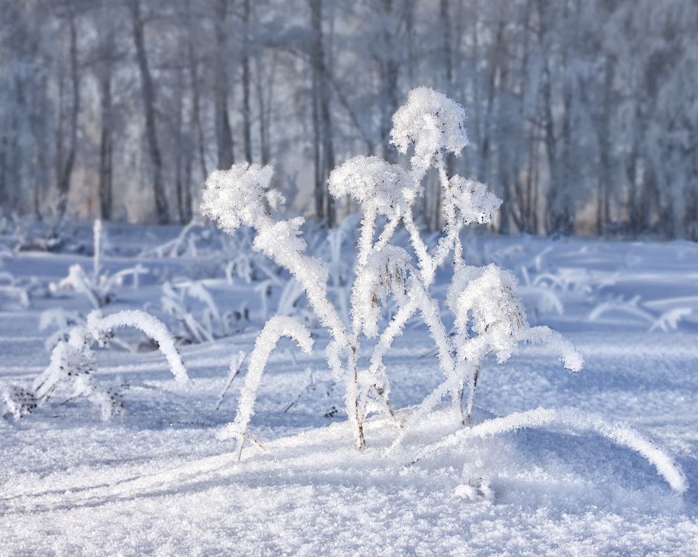 Photograph by Вера Лопатина