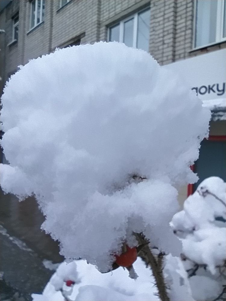 Photograph by Юрий Гордеев