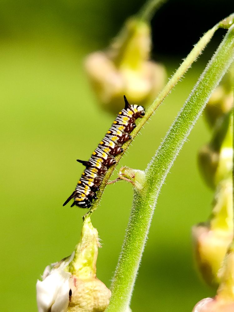 Photograph by Antaryami Das