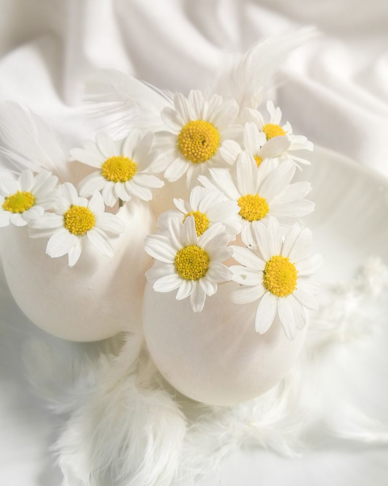 Photograph by Alexandra Sergeeva