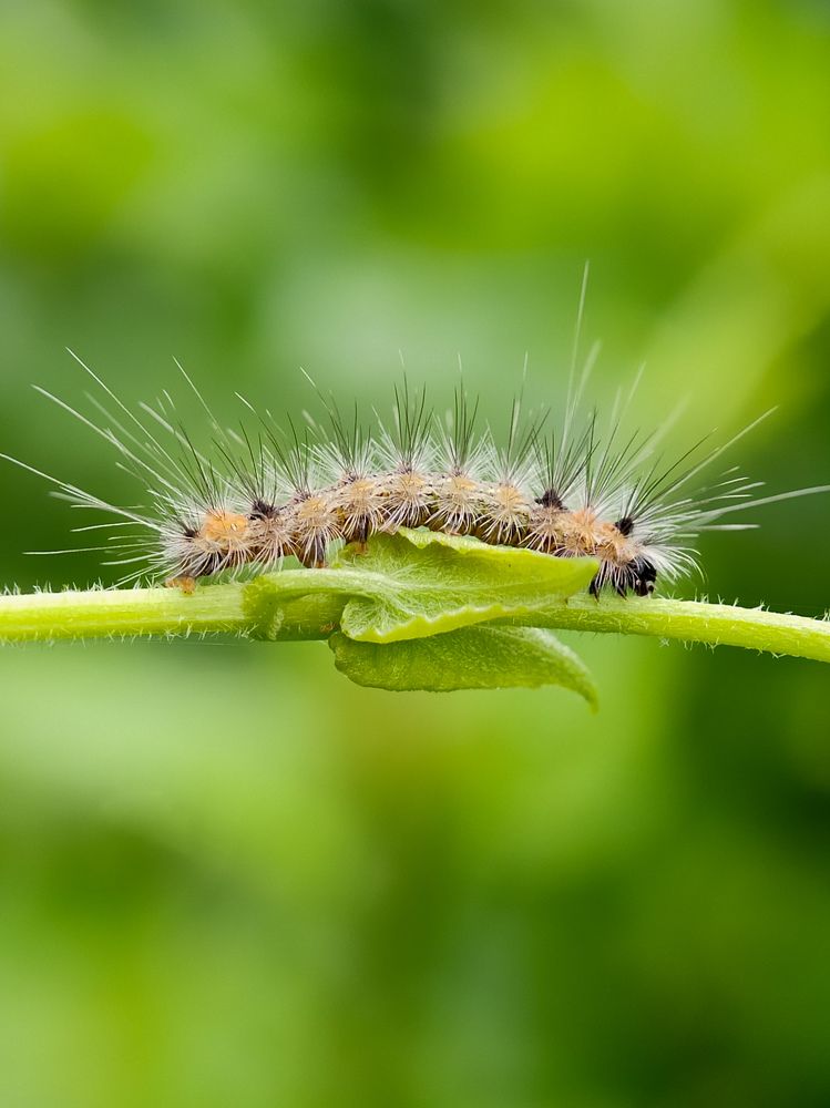 Photograph by Antaryami Das